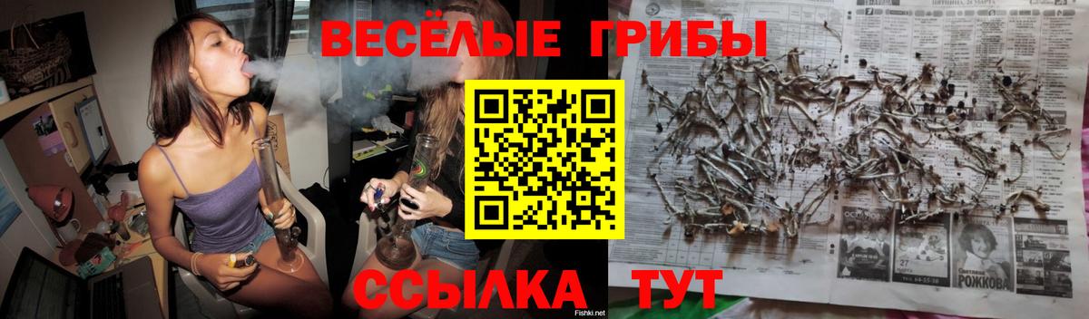 Белгород  Галлюциногенные грибы мицелий  Вход с VPN  Псилоцибиновые грибы Psilocybe 